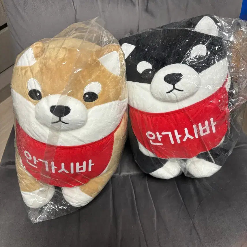 [BUNJANG] Angasiba Shiba Inu Doll Set / 안가시바 인형 세트