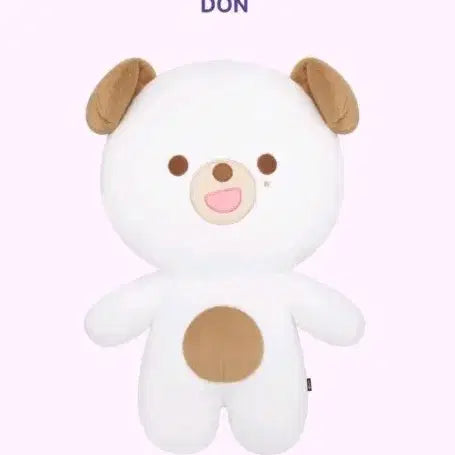 [BUNJANG] Day6 Giant Petit Merz Don Photocard / 데이식스 자이언트 쁘띠멀즈 돈