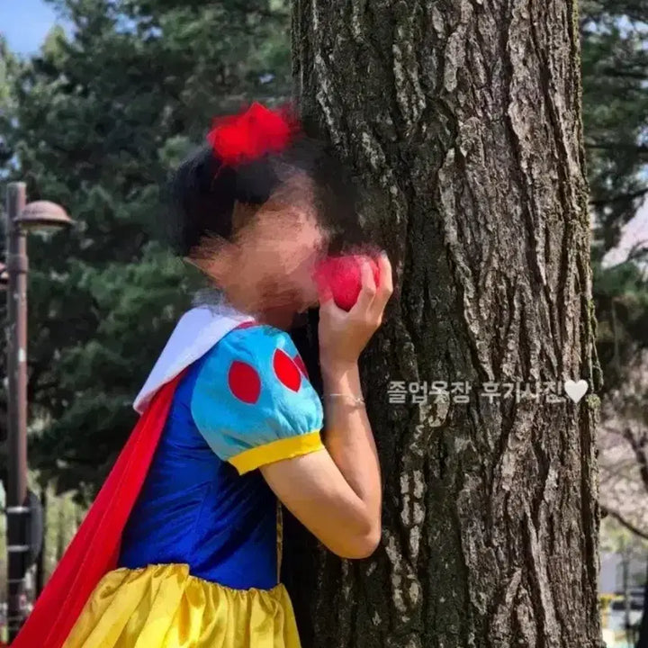 [BUNJANG] Snow White Dress for Graduation Photoshoot / (진짜예쁨. 퀄리티1등) 백설공주 드레스 디즈니 웨딩 졸업사진 대여 졸사
