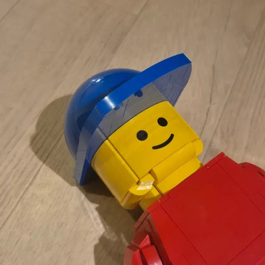 [BUNJANG] Lego 40649 Assembled Set / [정품] 레고 40649 팝니다