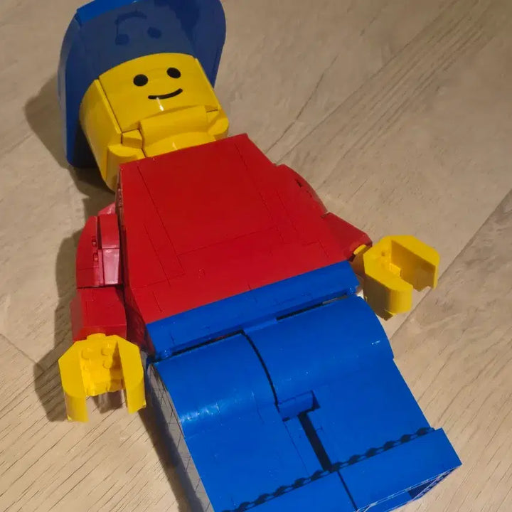 [BUNJANG] Lego 40649 Assembled Set / [정품] 레고 40649 팝니다