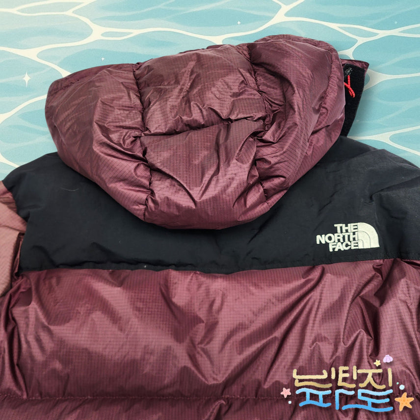 [BUNJANG] The North Face Summit 700 Goose Down Padded Jacket / 100 노스페이스 서밋 700 구스 패딩