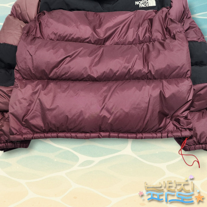 [BUNJANG] The North Face Summit 700 Goose Down Padded Jacket / 100 노스페이스 서밋 700 구스 패딩