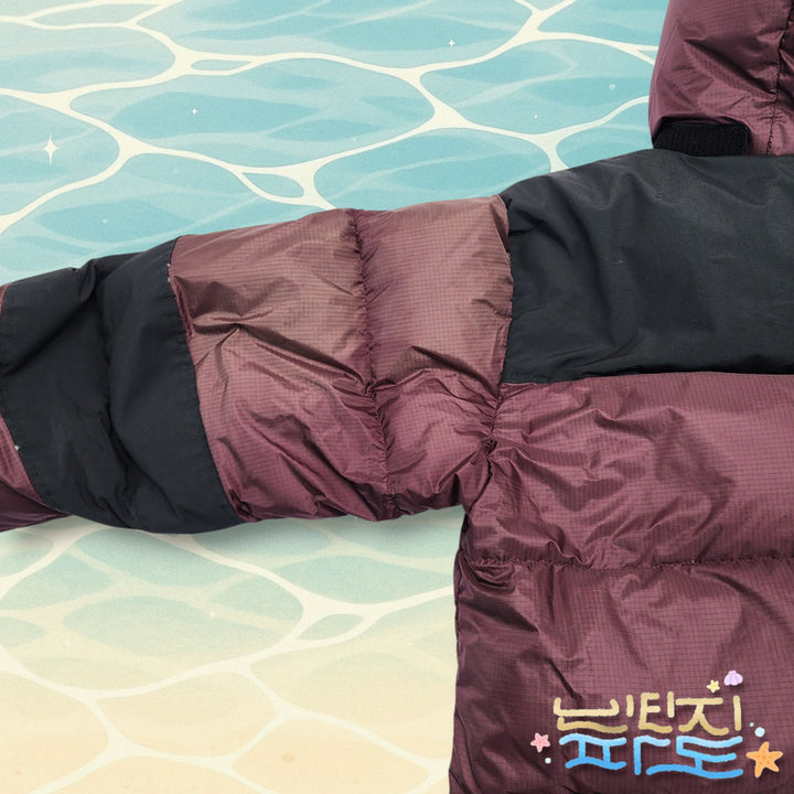 [BUNJANG] The North Face Summit 700 Goose Down Padded Jacket / 100 노스페이스 서밋 700 구스 패딩