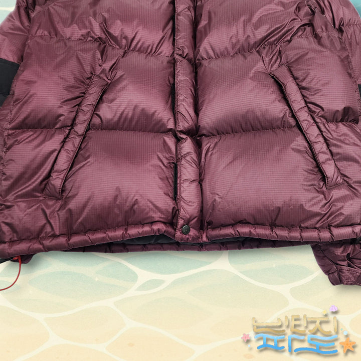 [BUNJANG] The North Face Summit 700 Goose Down Padded Jacket / 100 노스페이스 서밋 700 구스 패딩