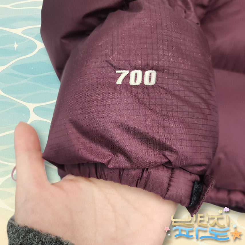 [BUNJANG] The North Face Summit 700 Goose Down Padded Jacket / 100 노스페이스 서밋 700 구스 패딩