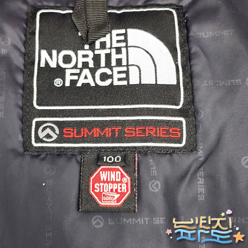 [BUNJANG] The North Face Summit 700 Goose Down Padded Jacket / 100 노스페이스 서밋 700 구스 패딩