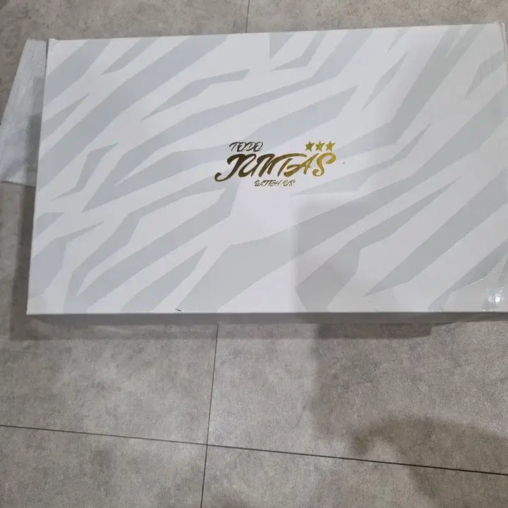 [BUNJANG] JUNTAS Fista SL TF 2025 Version Soccer Cleats / 준타스 피스타 SL TF 2025 버전 260 국산 풋살화