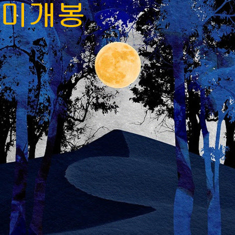 [BUNJANG] Kim Si-ho 18 Square Feet CD (Sealed) / 김시호 - 18평방자 (미개봉, CD) : 40,000원