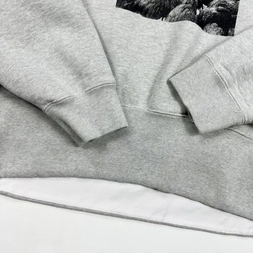 [BUNJANG] Nike SB Flower Box Logo Gray Sweatshirt (XL) / 나이키SB 플라워 박스 로고 그레이 맨투맨 (XL)