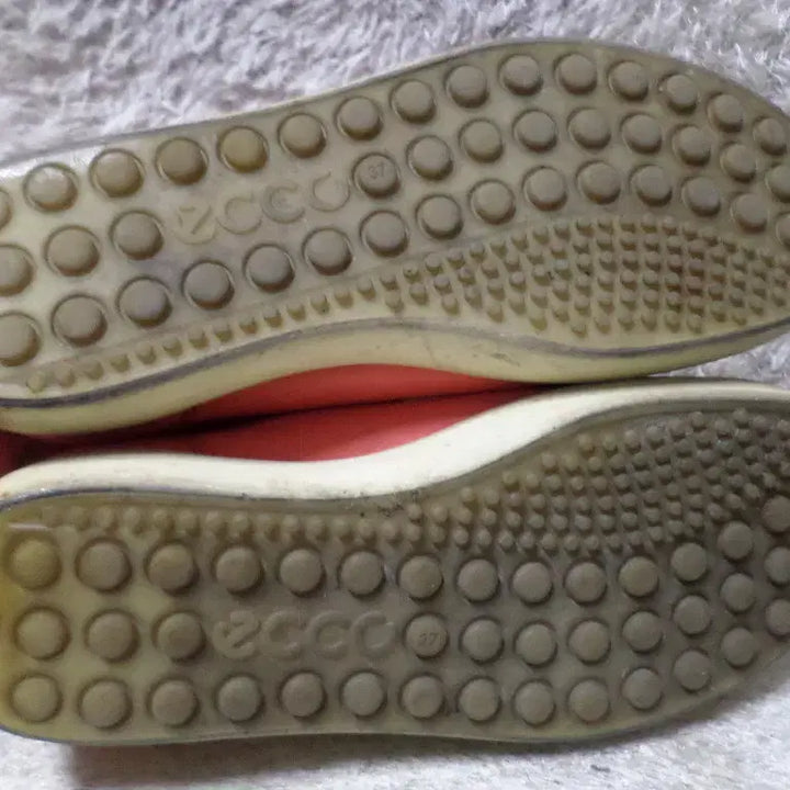 [BUNJANG] Ecco Non-Spike Golf Shoes (Red) / 후루룩구제 235 에코 ecco 논스파이크 골프화 레드 중고 신발