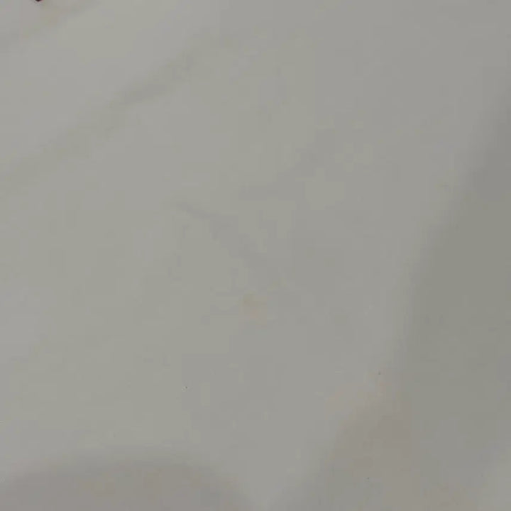 [BUNJANG] Spider White Short Sleeve T-shirt / 스파이더 흰색 반팔 티셔츠
