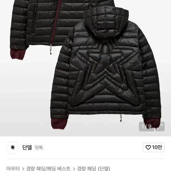 [BUNJANG] DANDEL Reversible Lightweight Padded Jacket / 단델 리버시블 경량 패딩 자켓