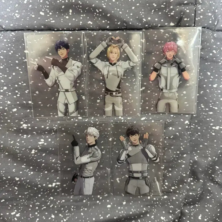 [SOLD OUT] 플레이브 포카 일괄 판매