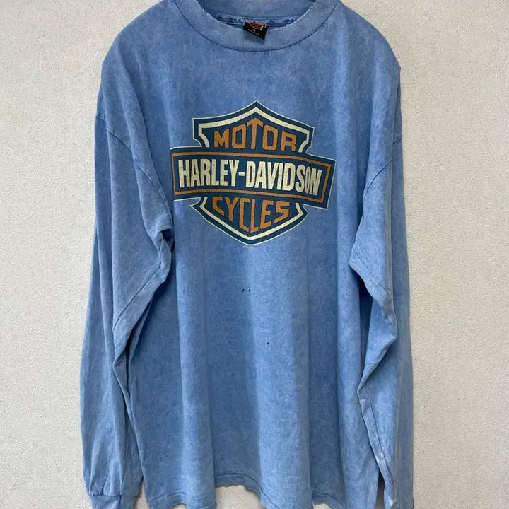 [BUNJANG] Harley Davidson Grunge Vintage Long Sleeve / 90s 할리데이비슨 그런지 빈티지 롱슬리브