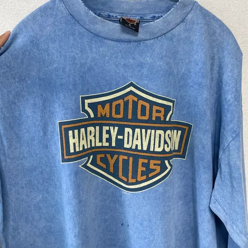 [BUNJANG] Harley Davidson Grunge Vintage Long Sleeve / 90s 할리데이비슨 그런지 빈티지 롱슬리브