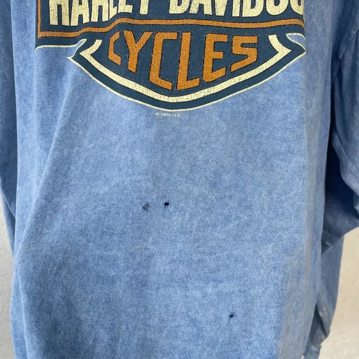 [BUNJANG] Harley Davidson Grunge Vintage Long Sleeve / 90s 할리데이비슨 그런지 빈티지 롱슬리브