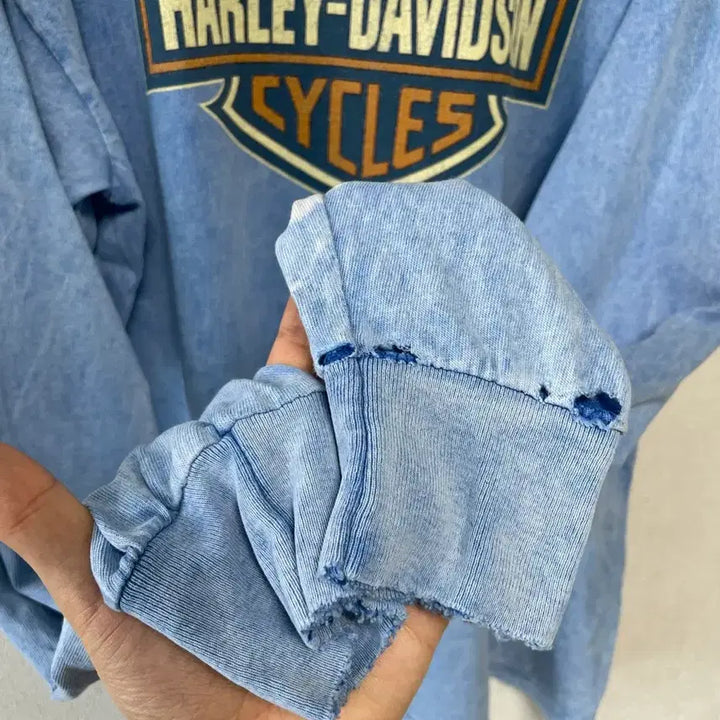 [BUNJANG] Harley Davidson Grunge Vintage Long Sleeve / 90s 할리데이비슨 그런지 빈티지 롱슬리브