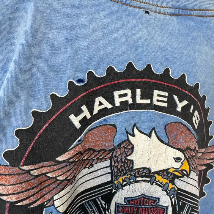 [BUNJANG] Harley Davidson Grunge Vintage Long Sleeve / 90s 할리데이비슨 그런지 빈티지 롱슬리브