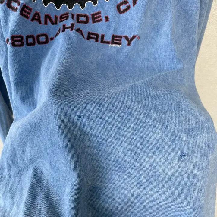 [BUNJANG] Harley Davidson Grunge Vintage Long Sleeve / 90s 할리데이비슨 그런지 빈티지 롱슬리브
