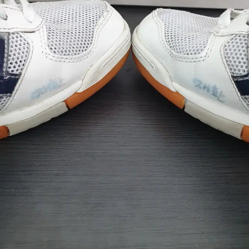 [BUNJANG] Asics Rote Libre (280) Indoor Court Shoes / 아식스 로테 리브레 (280)