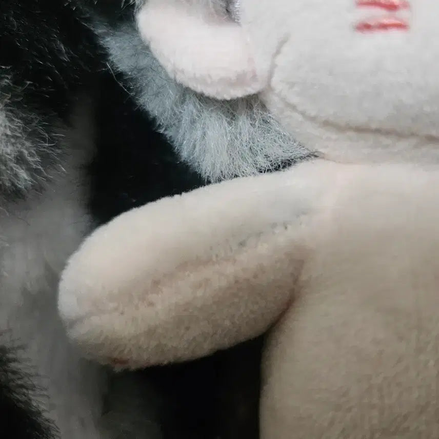 [BUNJANG] Unaligned Ddoll Doll / 무속성포리 덜룩포리 떨깅 원가이하