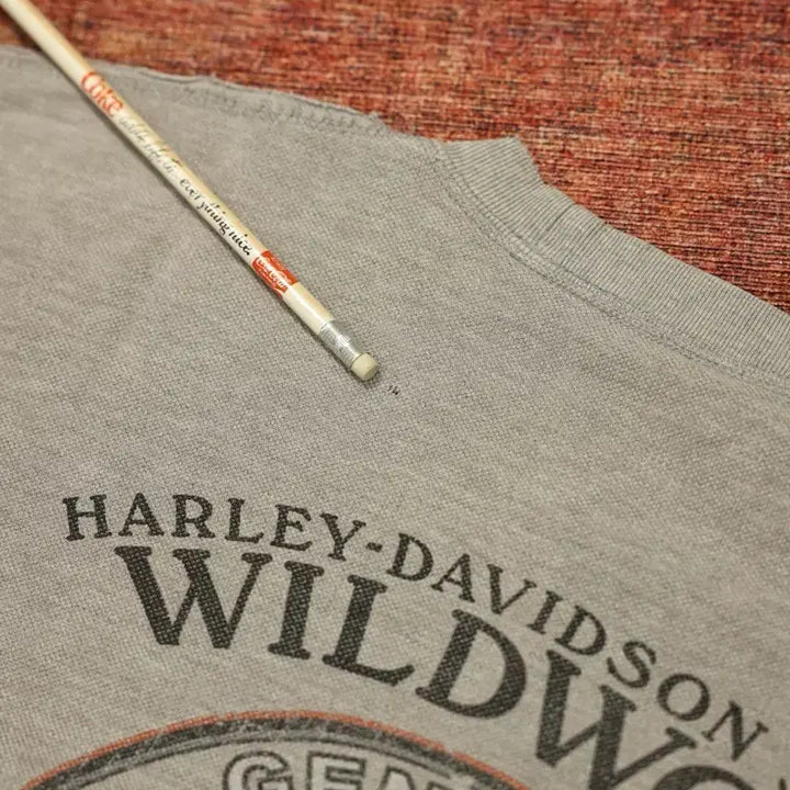 [BUNJANG] Harley-Davidson Wildwood Crewneck Sweatshirt / 00s 빈티지 할리데이비슨 그레이 스웻 판매