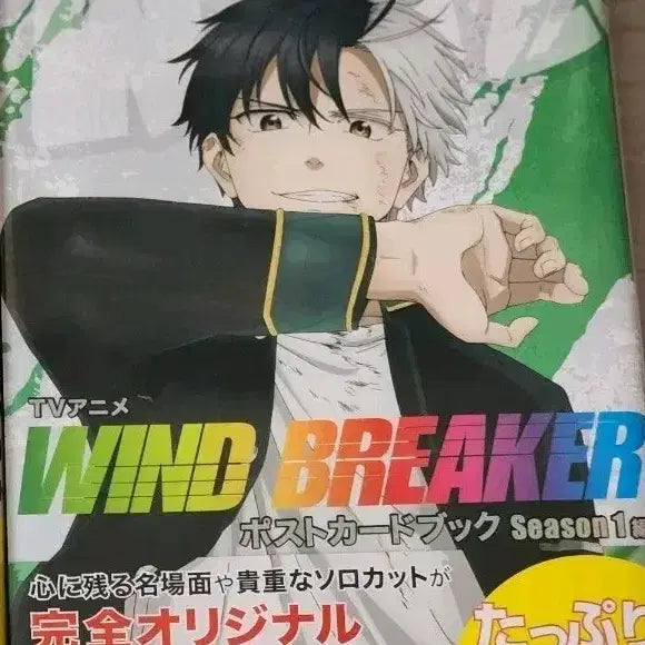 [BUNJANG] Wind Breaker Postcard Book / WIND BREAKER 윈드브레이커 윈브레 포스트카드북