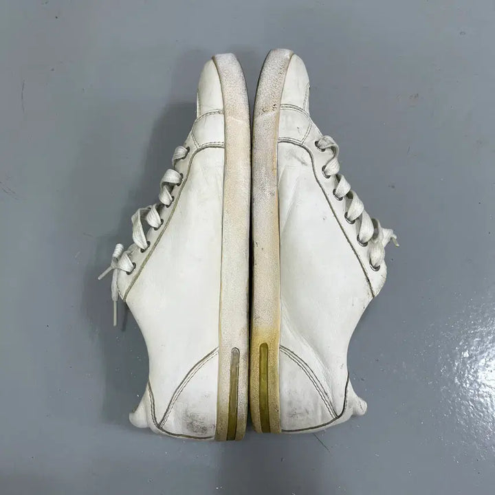 [BUNJANG] Dolce &amp; Gabbana Sneakers / 7.5 돌체앤가바나 스니커즈 0312M2