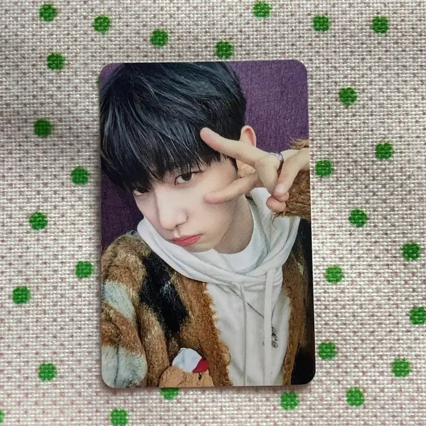 [BUNJANG] BOYNEXTDOOR Jaehyun MCD Photocard / 보이넥스트도어  재현 포토카드MC 공방 포카 mcd