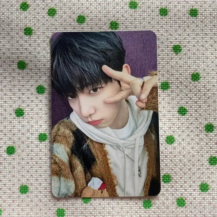 [BUNJANG] BOYNEXTDOOR Jaehyun MCD Photocard / 보이넥스트도어  재현 포토카드MC 공방 포카 mcd