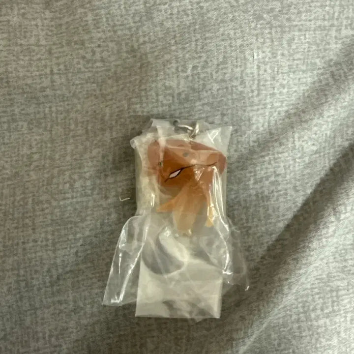 [SOLD OUT] 나메코 메지루시