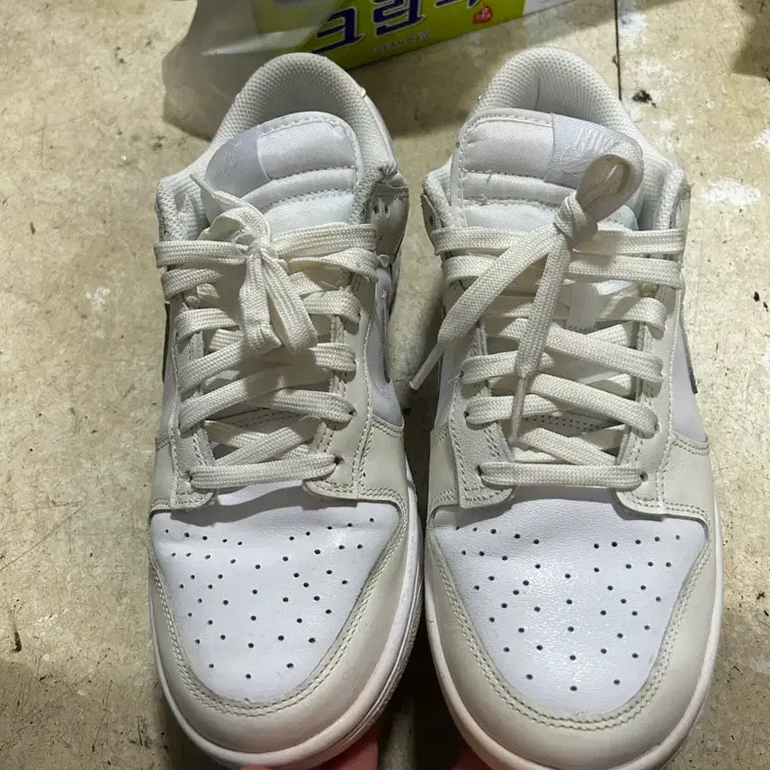 [BUNJANG] Nike Dunk Low Coconut Milk DD1503-121 / 나이키 덩크로우 코코넛밀크 DD1503-121 265cm