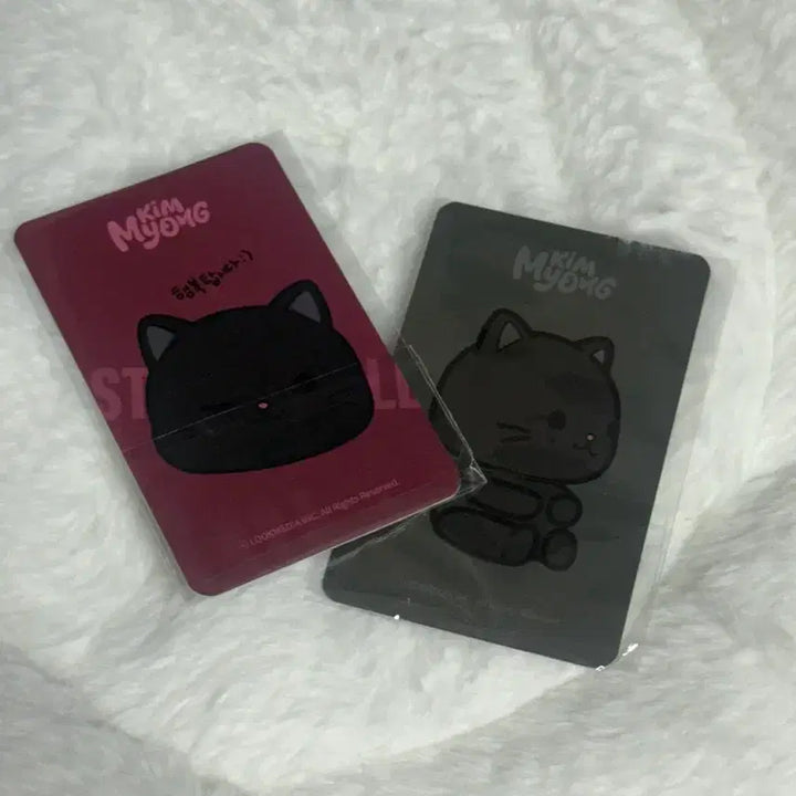[BUNJANG] Kim Myungsoo Birthday Party MD Photocard / 김명수 생일파티 엠디포카