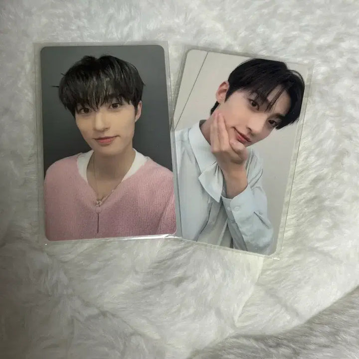 [BUNJANG] BAMBAM Boys Im Jihwan Audience Photocard / 바마이보이즈 임지환 방청포카