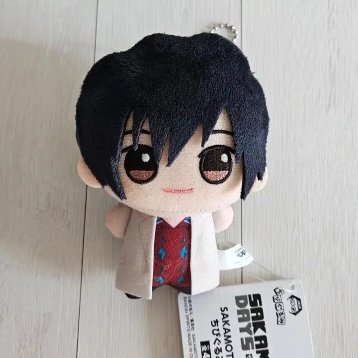 [SOLD OUT] 사카데이 나구모 요이치 누이