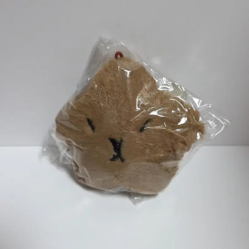 [BUNJANG] 카피바라 별모양 키링 새상품 / 카피바라 별모양 키링 새상품