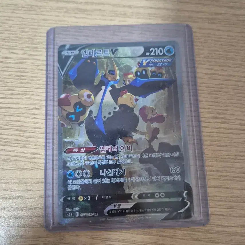 [BUNJANG] Pokemon Blacky CSR and Others Card Bundle / 포켓몬 카드 블래키 csr외 4개 (네고가능)