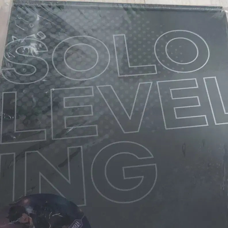 [BUNJANG] Solo Leveling Volume 12 Limited Edition Comic Book / 나혼자만레벨업 12권 한정판 미개봉 만화책 팝니다 희귀 만화영화 고전