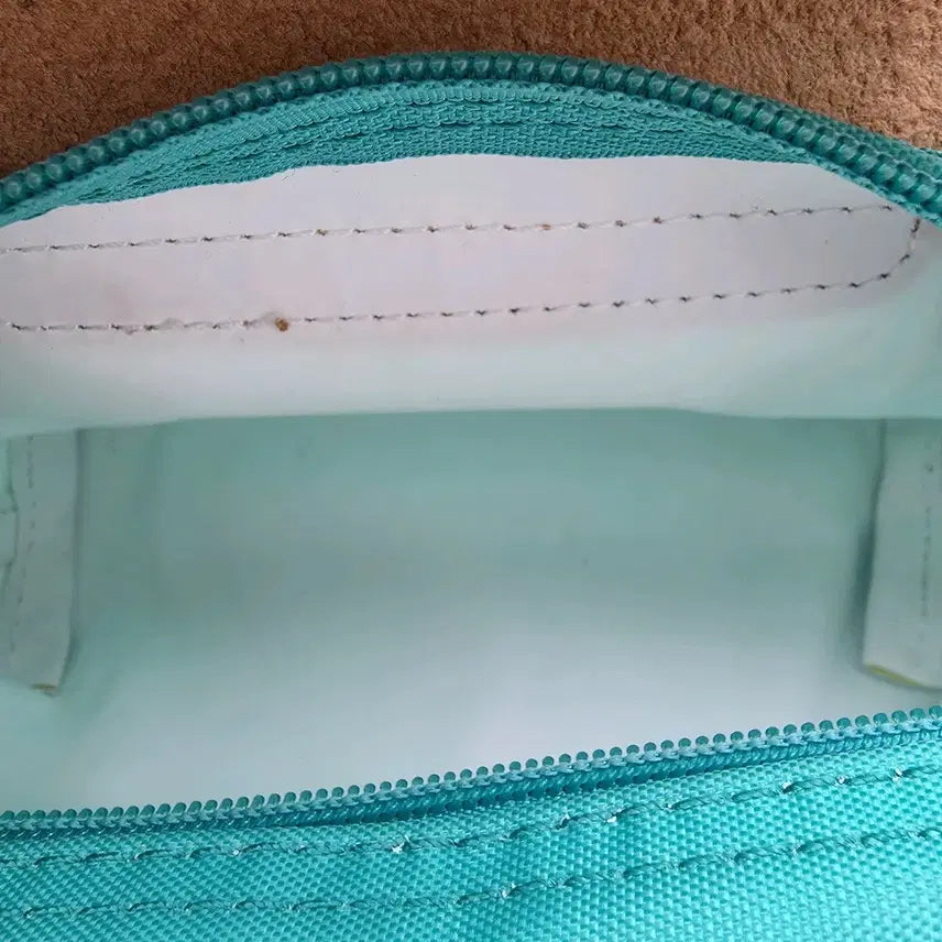 [BUNJANG] Longchamp Le Pliage Original Handle Pouch Mint / 롱샴 르플리아쥬 오리지널 핸들 파우치 민트