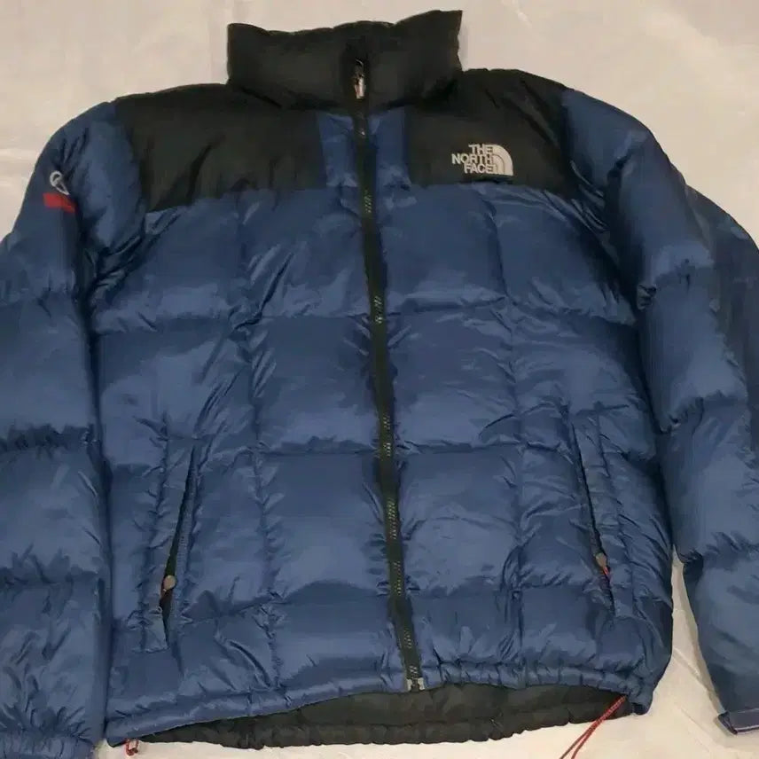 [BUNJANG] The North Face 800 Fill Down Jacket 100 / 노스페이스 800  Summit 패딩 100