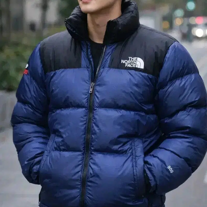 [BUNJANG] The North Face 800 Fill Down Jacket 100 / 노스페이스 800  Summit 패딩 100
