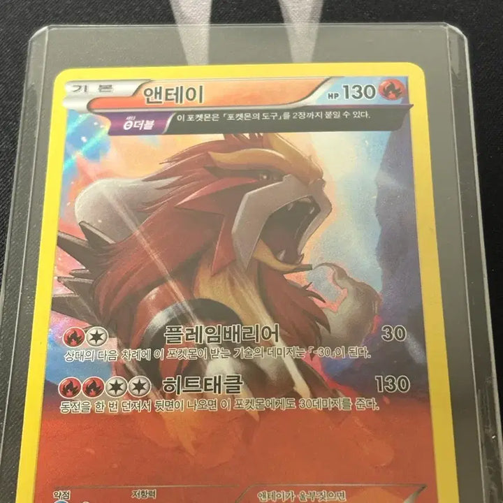 [SOLD OUT] 앤테이 xy7