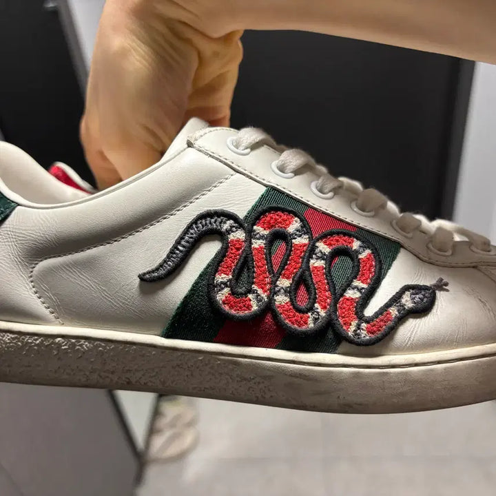 [BUNJANG] Gucci Snake Sneakers 270 / 정품) 구찌 스네이크 스니커즈 270 판매