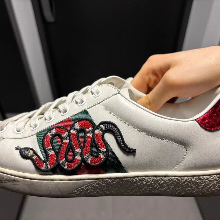 [BUNJANG] Gucci Snake Sneakers 270 / 정품) 구찌 스네이크 스니커즈 270 판매