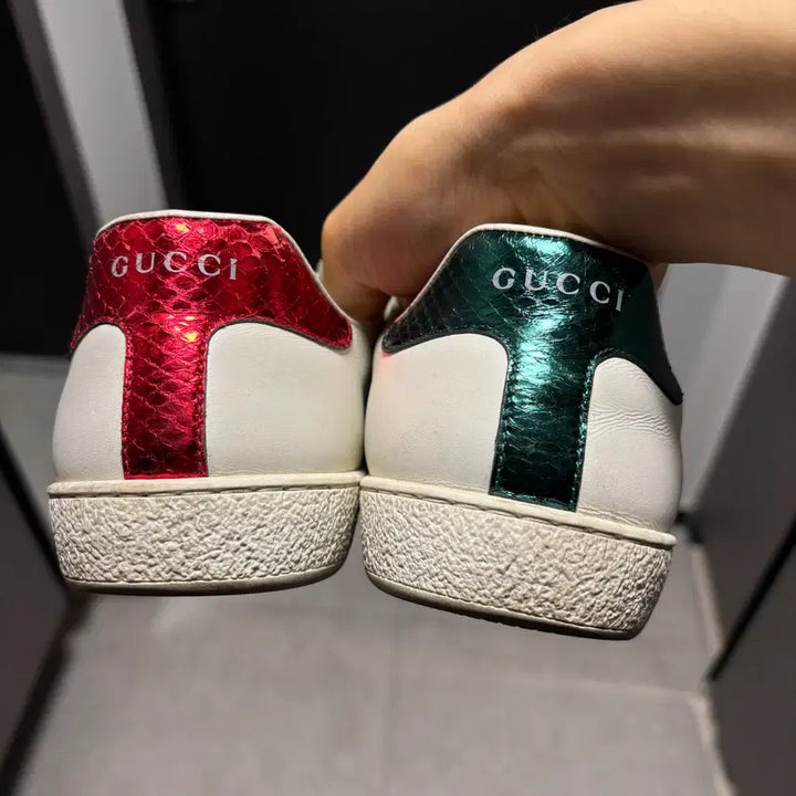 [BUNJANG] Gucci Snake Sneakers 270 / 정품) 구찌 스네이크 스니커즈 270 판매