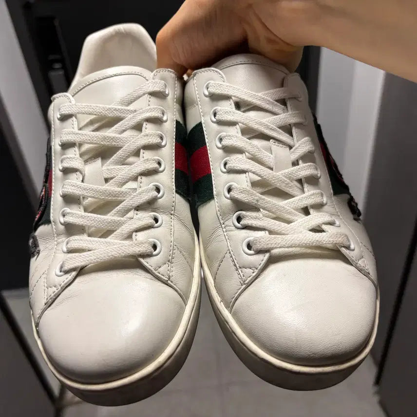 [BUNJANG] Gucci Snake Sneakers 270 / 정품) 구찌 스네이크 스니커즈 270 판매