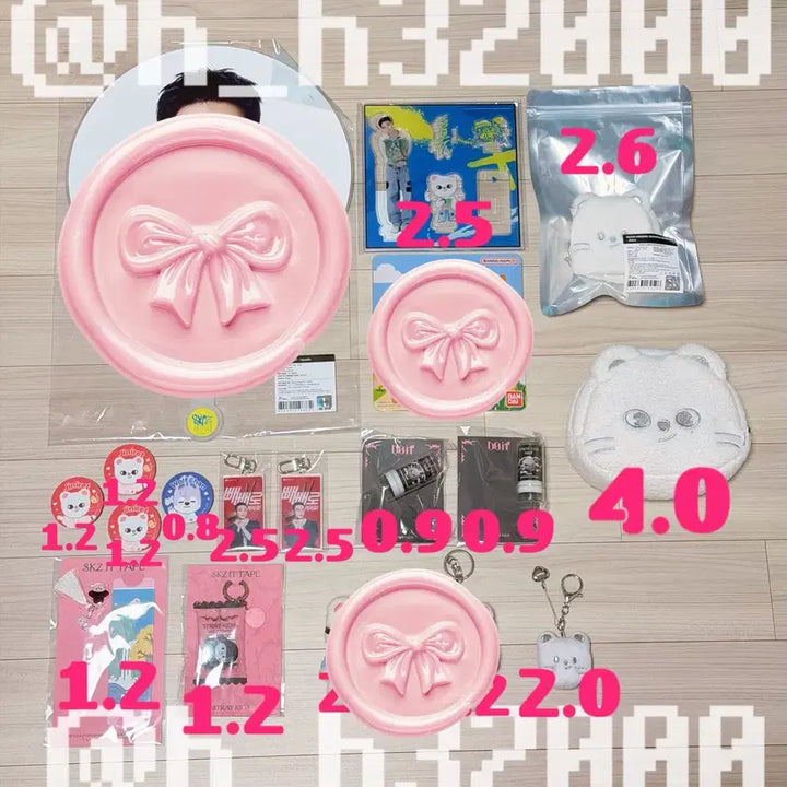 [BUNJANG] Stray Kids Hyunjin MD Goods Jiniret Plush Keychain Zootopia Pouch / 스키즈 현진 엠디 굿즈 포카 인형 지니렛 키링 주토피아 파우치