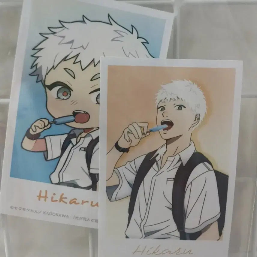 [BUNJANG] Hikaru ga Shinda Natsu Postcard / 히카루가 죽은여름 엽서 판매