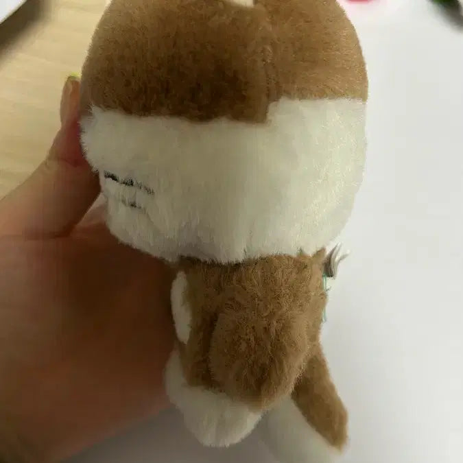 [BUNJANG] Bbyukddo Darling Doll / 쁘넥도 달링 팔아요